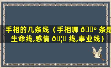 手相的几条线（手相哪 🌺 条是生命线,感情 🦅 线,事业线）